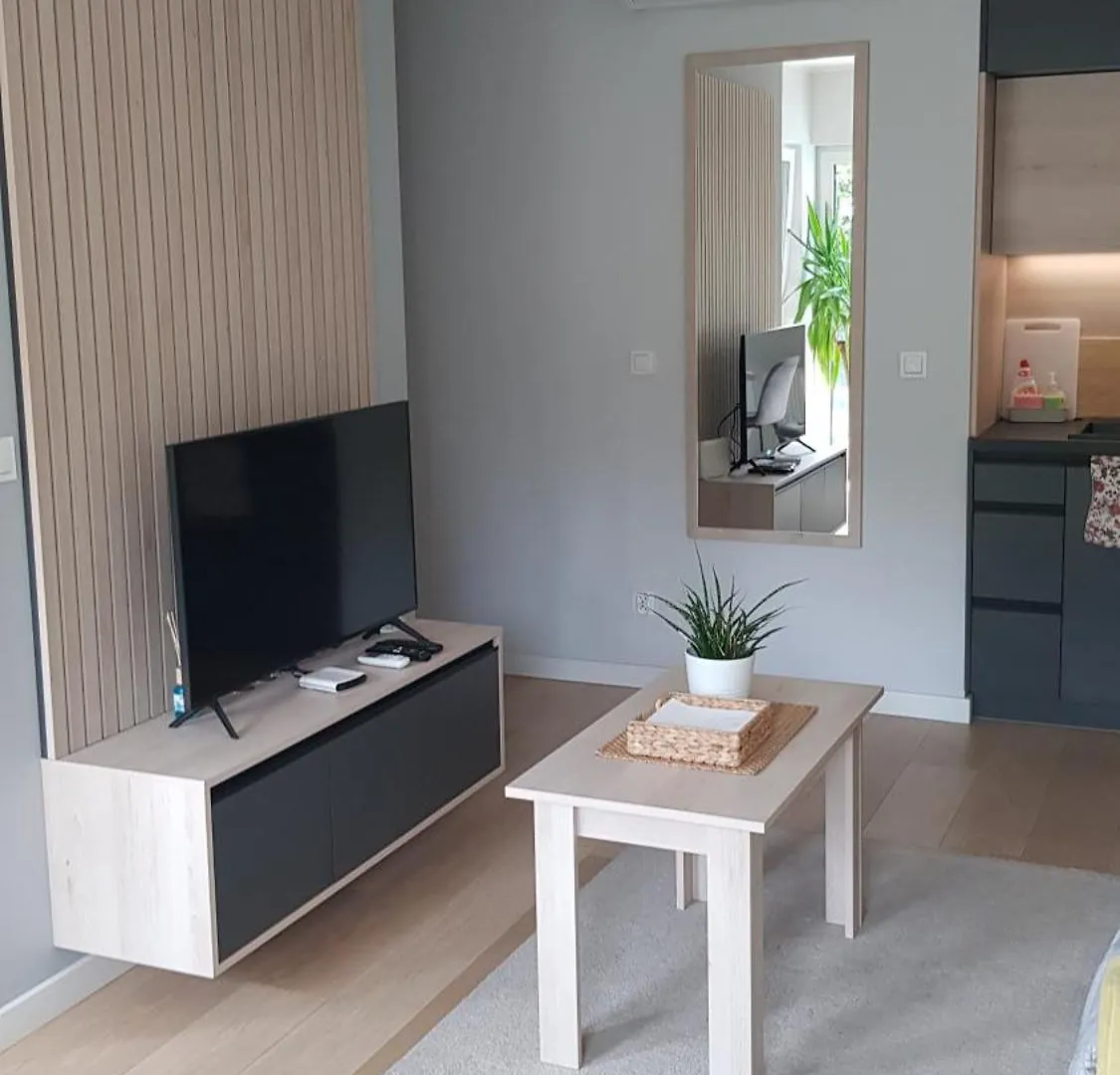 Daire Chopin Park Lux Apartment, Self Check-In 24H, Free Parking, Air-Conditioning Poznan